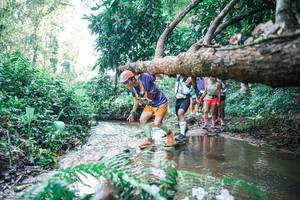 BIB: 
                            <button type="button" onclick="openModal(25444549)" class="btn btn-primary btn-sm float-right btn-popup" data-toggle="modal" data-target=".modal-high-quality">
                        <i class="fas fa-shopping-cart"></i> Add to Cart
                    </button>
                                            <button type="button" onclick="isThisMe(25444549, true)" class="btn btn-success btn-sm float-right btn-popup btn-isme hidden" data-toggle="tooltip" data-placement="bottom" title="นี่คือรูปของคุณใช่ไหม คลิกที่นี่เพื่อเอาเข้าอัลบั้ม">
                        <i class="fas fa-plus"></i> Add to album
                    </button>
                    <button type="button" onclick="isThisMe(25444549, false)" class="btn btn-warning btn-sm float-right btn-popup btn-isnotme hidden">
                        <i class="fas fa-ban"></i> Remove from album
                    </button>